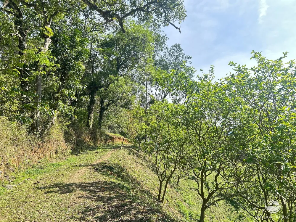 Chácara, 2 hectares - Foto 16