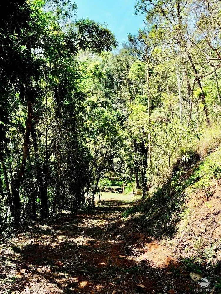 Chácara, 2 hectares - Foto 6