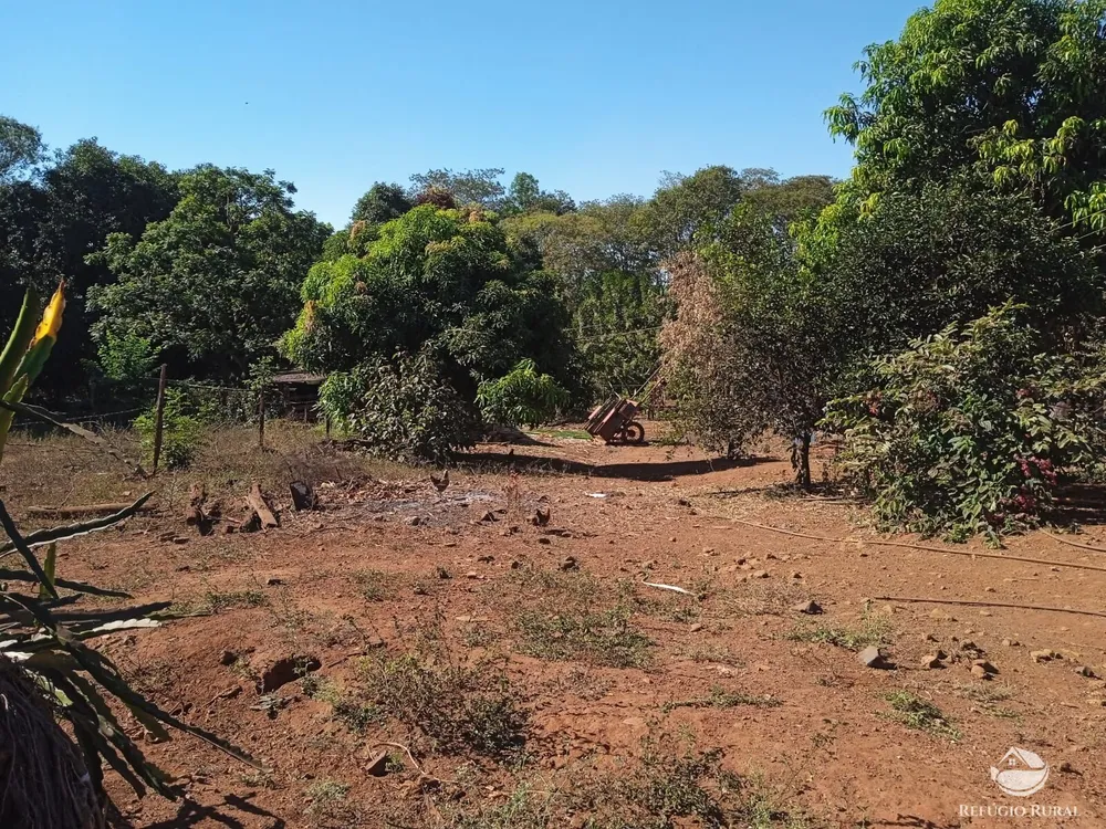 Sítio, 4 hectares - Foto 10