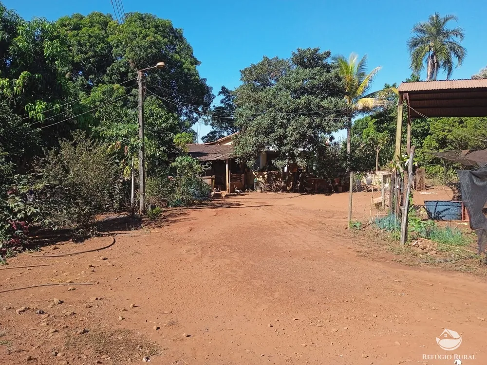 Sítio, 4 hectares - Foto 8