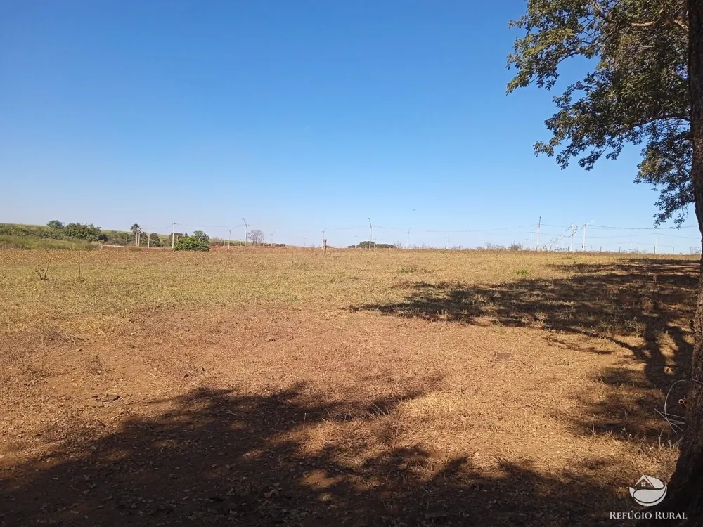 Sítio, 4 hectares - Foto 6