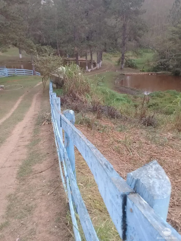 Sítio, 5 hectares - Foto 1