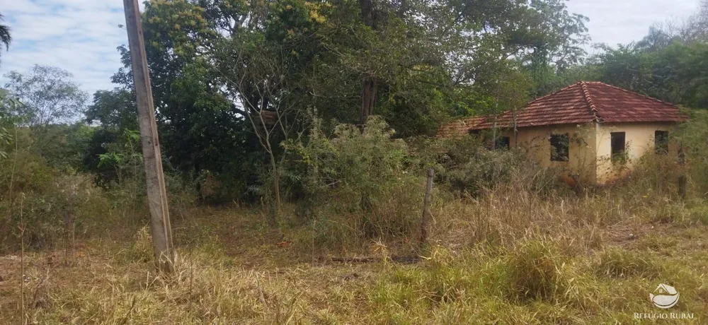 Sítio, 10648 hectares - Foto 14