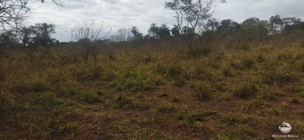 Sítio, 10648 hectares - Foto 15