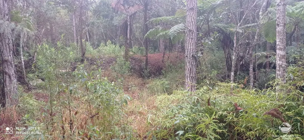 Terreno, 36 hectares - Foto 7