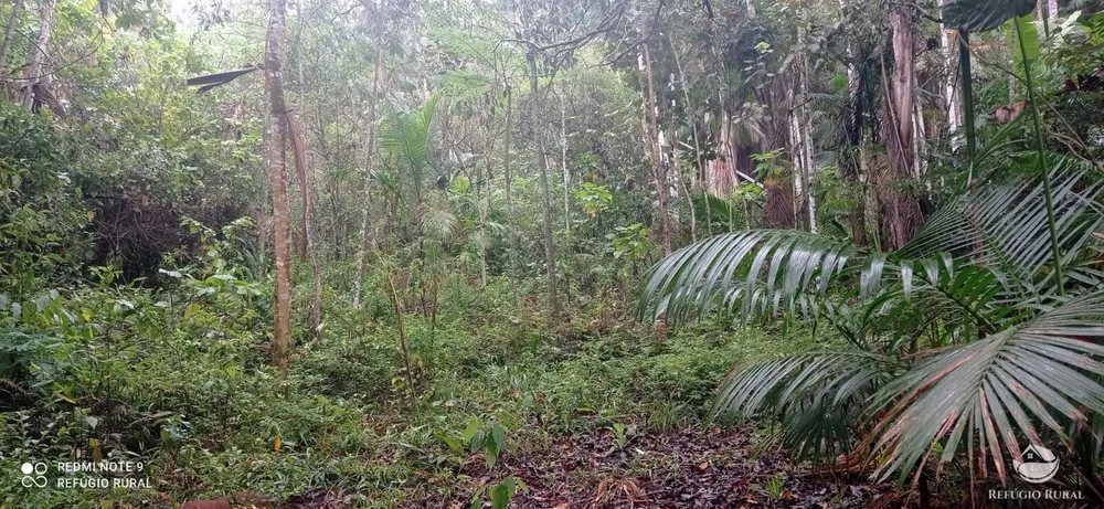 Terreno, 36 hectares - Foto 6