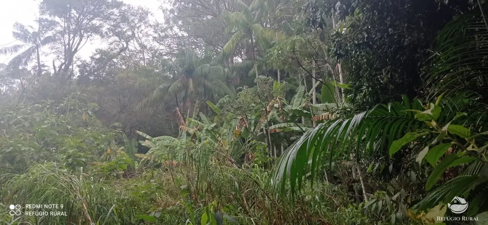 Terreno, 36 hectares - Foto 4
