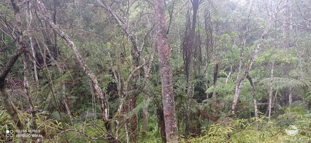 Terreno, 36 hectares - Foto 10