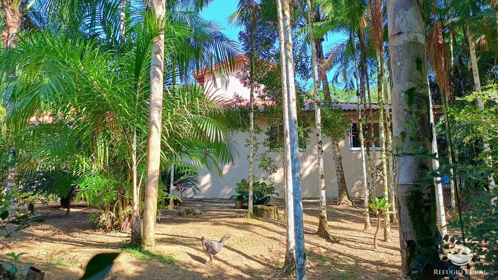 Casa, 3 quartos, 350 m² - Foto 4