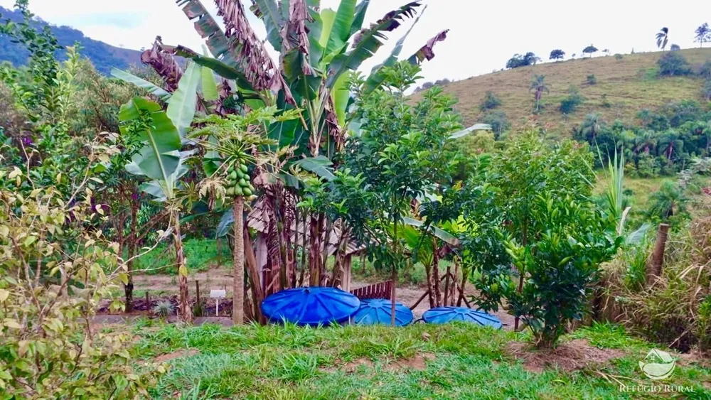 Chácara, 1 hectares - Foto 8