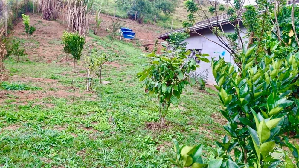 Chácara, 1 hectares - Foto 6