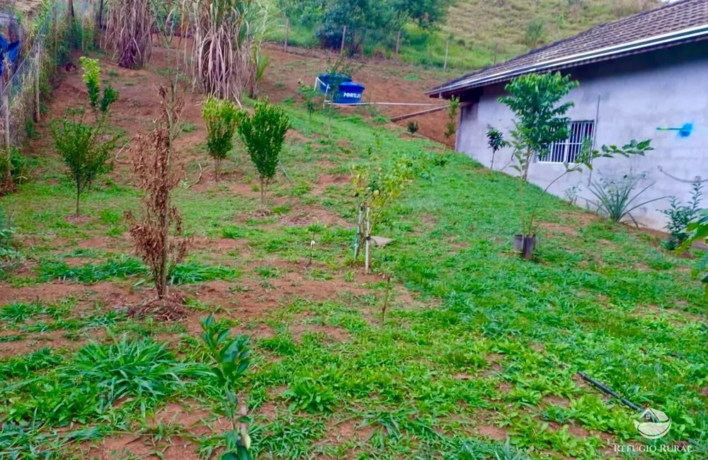 Chácara, 1 hectares - Foto 4