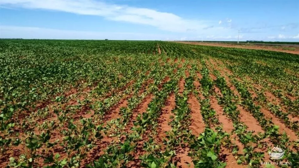 Fazenda, 1200 hectares - Foto 1