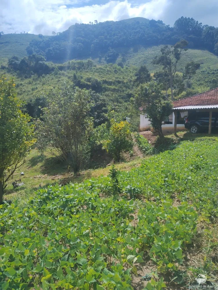 Chácara, 3400 m² - Foto 2