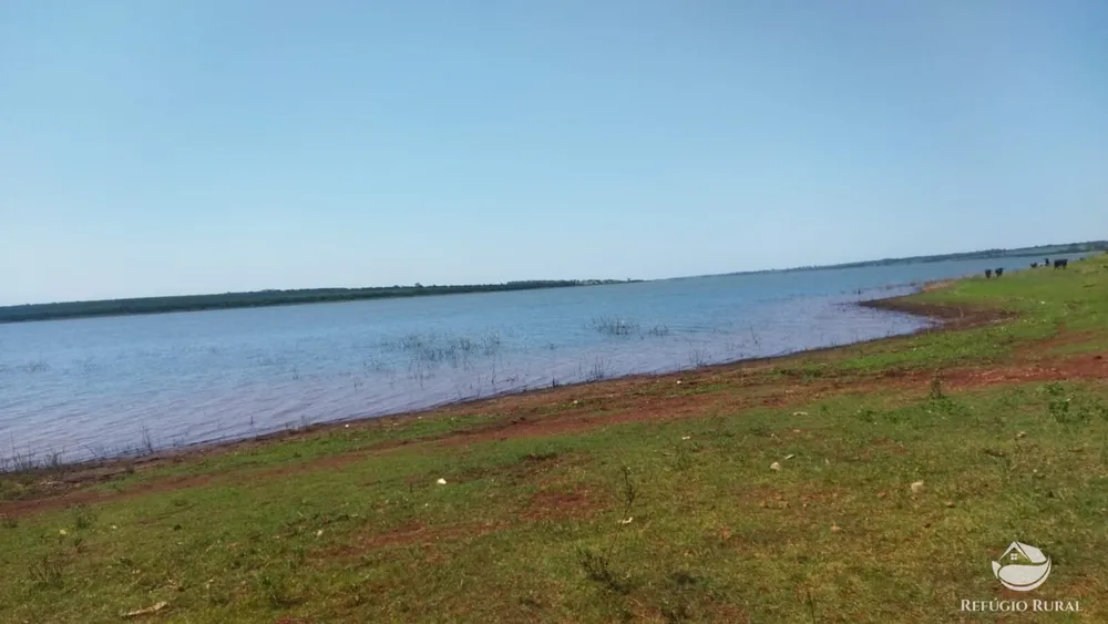 Sítio, 41 hectares - Foto 7