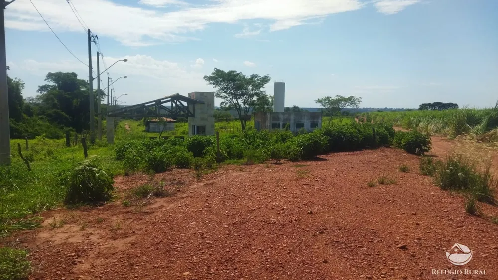 Sítio, 41 hectares - Foto 1