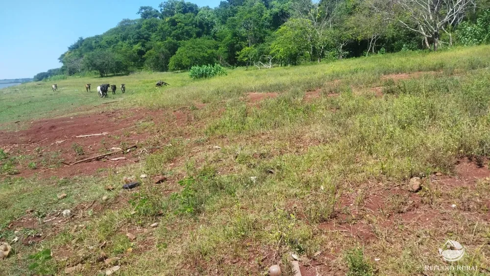 Sítio, 41 hectares - Foto 11