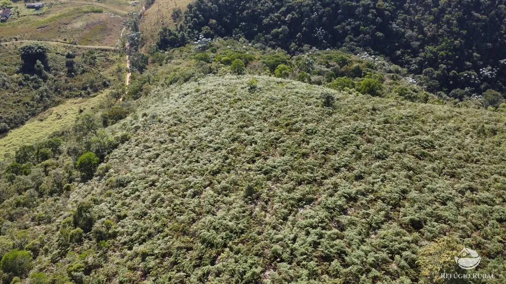 Terreno, 7 hectares - Foto 14