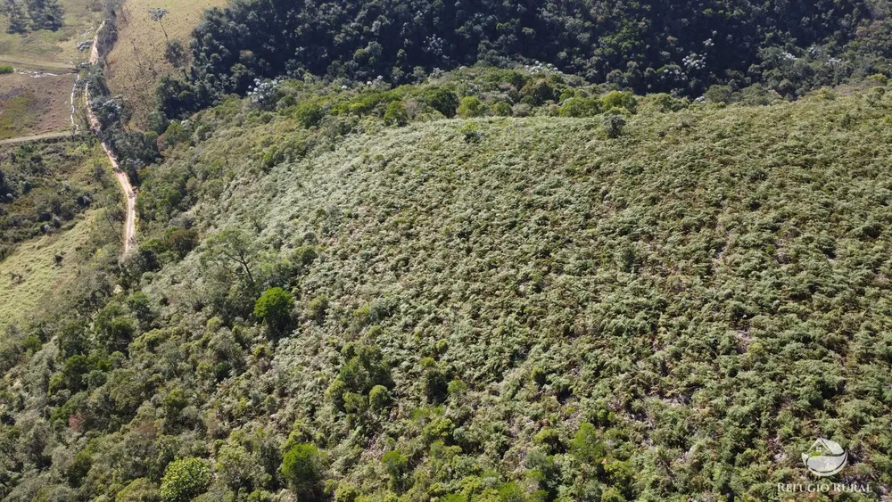 Terreno, 7 hectares - Foto 15