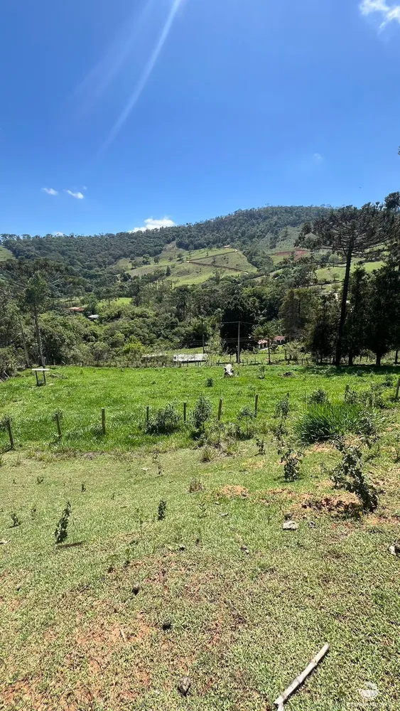 Terreno, 3 hectares - Foto 13