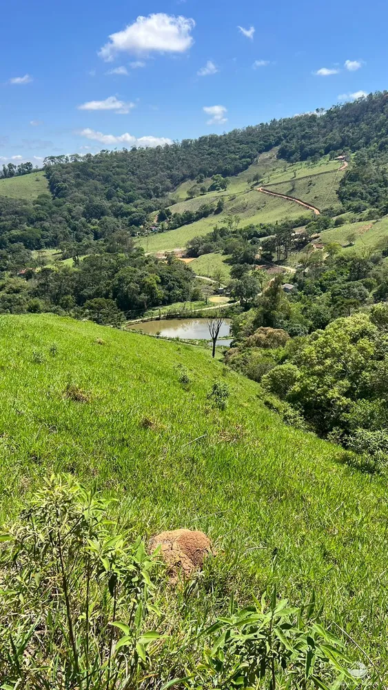 Terreno, 3 hectares - Foto 4