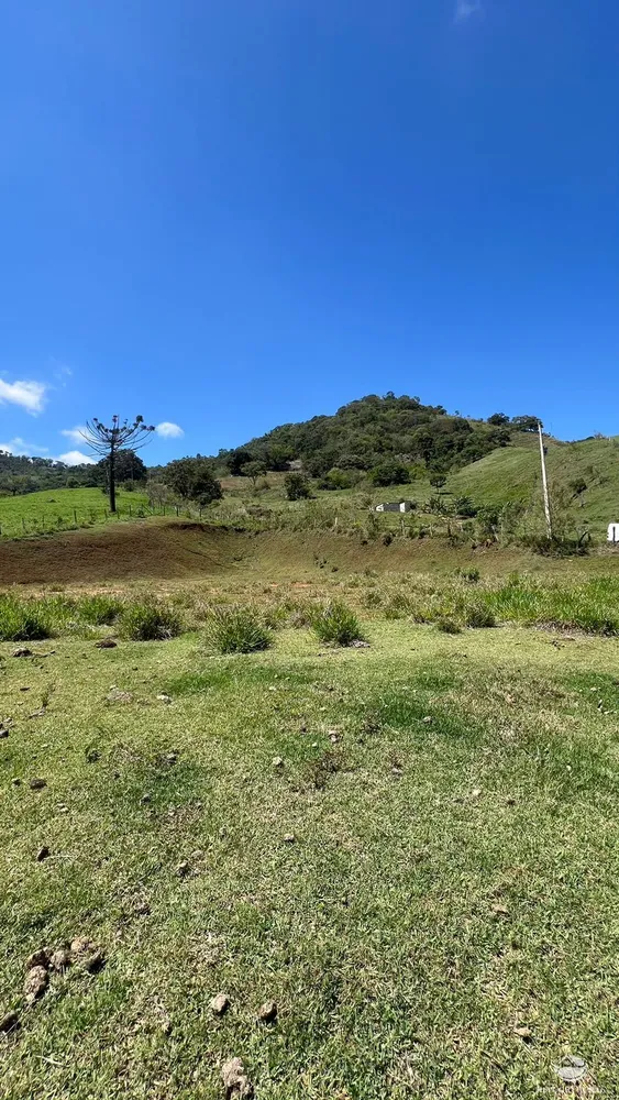 Terreno, 3 hectares - Foto 11