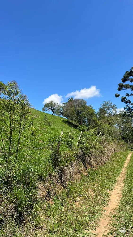 Terreno, 3 hectares - Foto 1