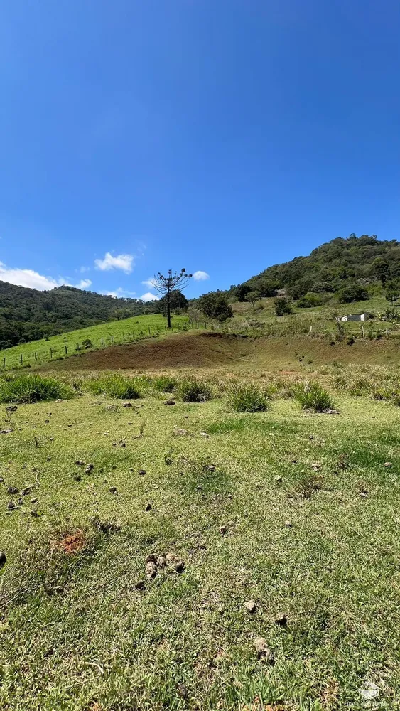 Terreno, 3 hectares - Foto 3