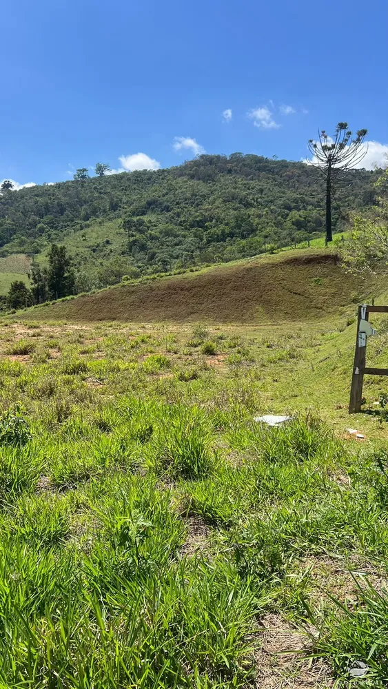 Terreno, 3 hectares - Foto 10