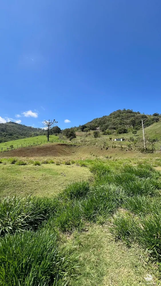 Terreno, 3 hectares - Foto 7