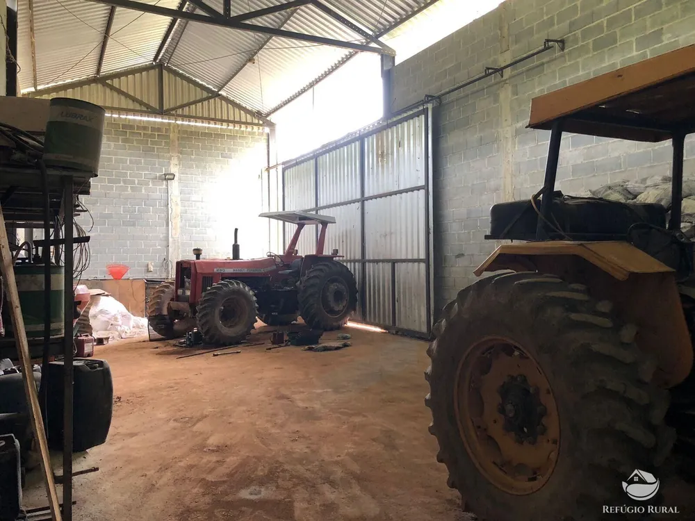 Fazenda, 172 hectares - Foto 6