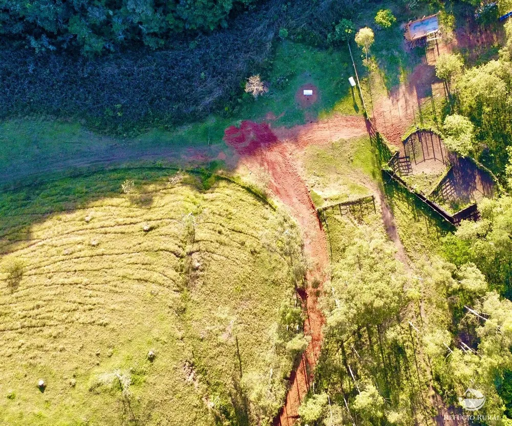 Fazenda, 172 hectares - Foto 1