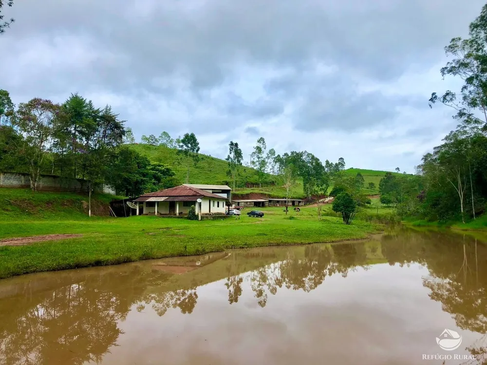Fazenda, 172 hectares - Foto 8
