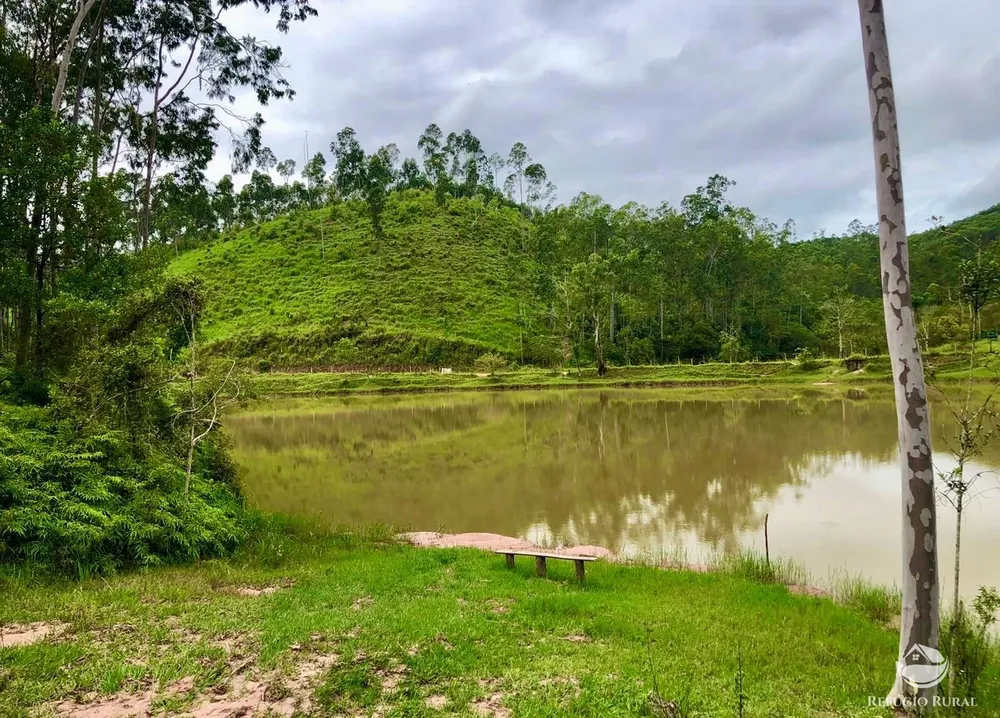 Fazenda, 172 hectares - Foto 9