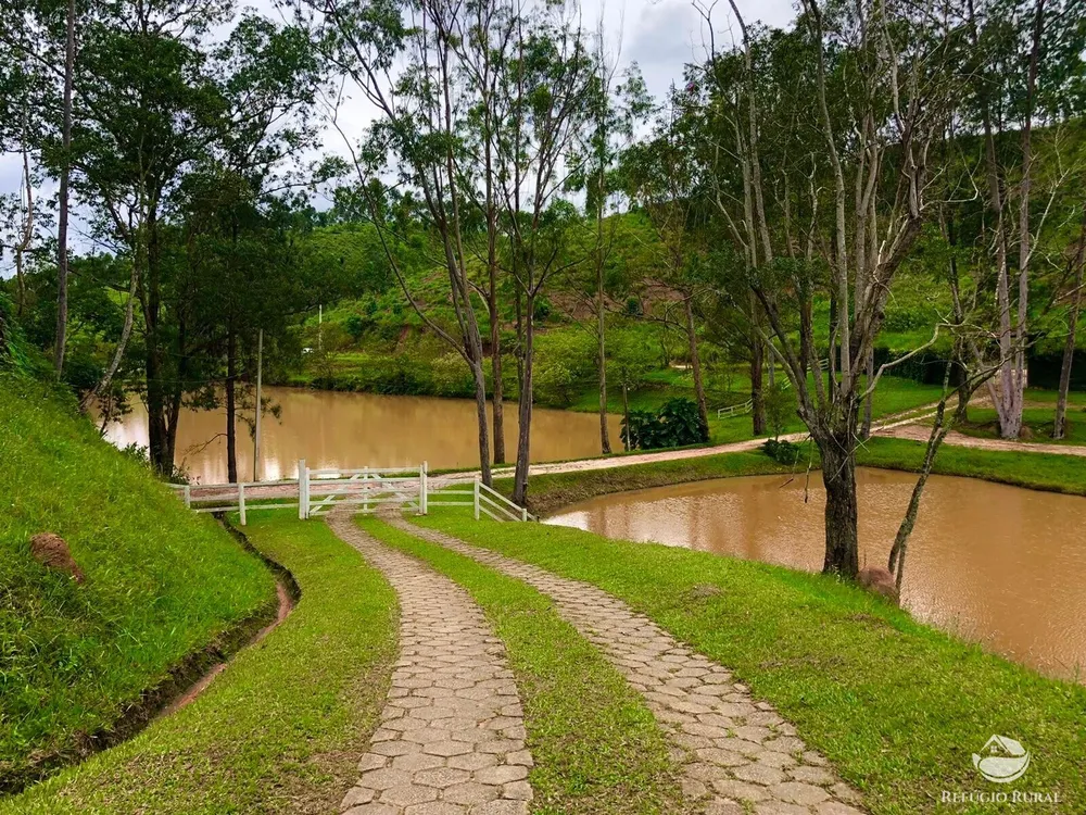 Fazenda, 172 hectares - Foto 10
