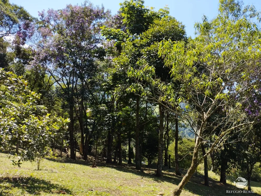 Sítio, 1 hectares - Foto 20