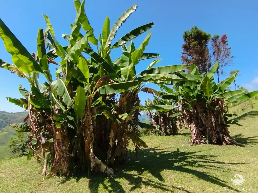 Sítio, 1 hectares - Foto 15