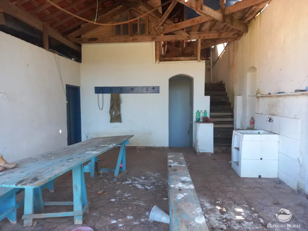 Sítio, 58 hectares - Foto 11