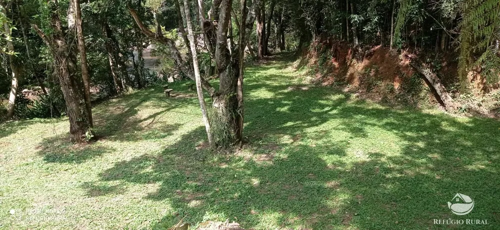 Sítio, 2 hectares - Foto 46