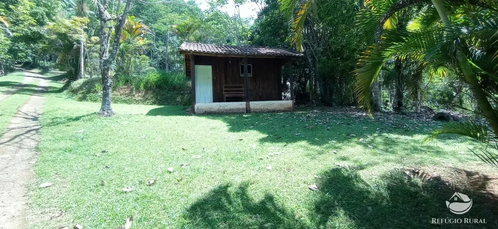 Sítio, 2 hectares - Foto 43