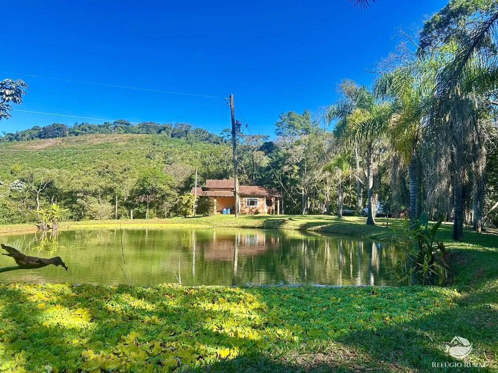 Sítio, 6 hectares - Foto 4