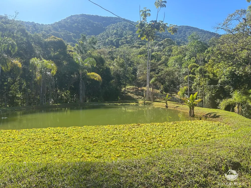 Sítio, 6 hectares - Foto 12