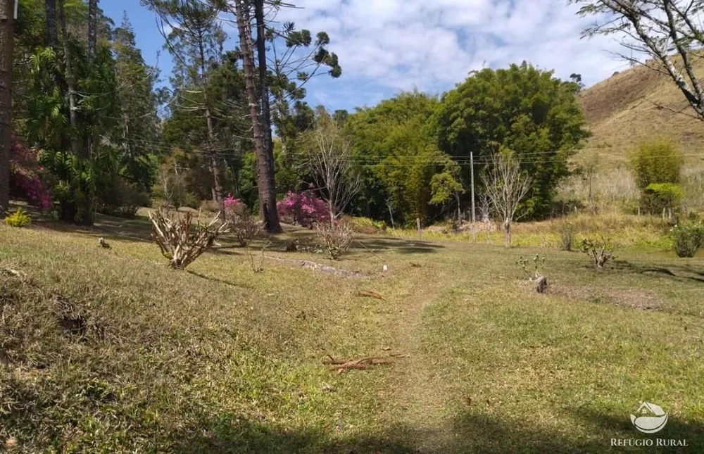 Sítio, 22 hectares - Foto 11