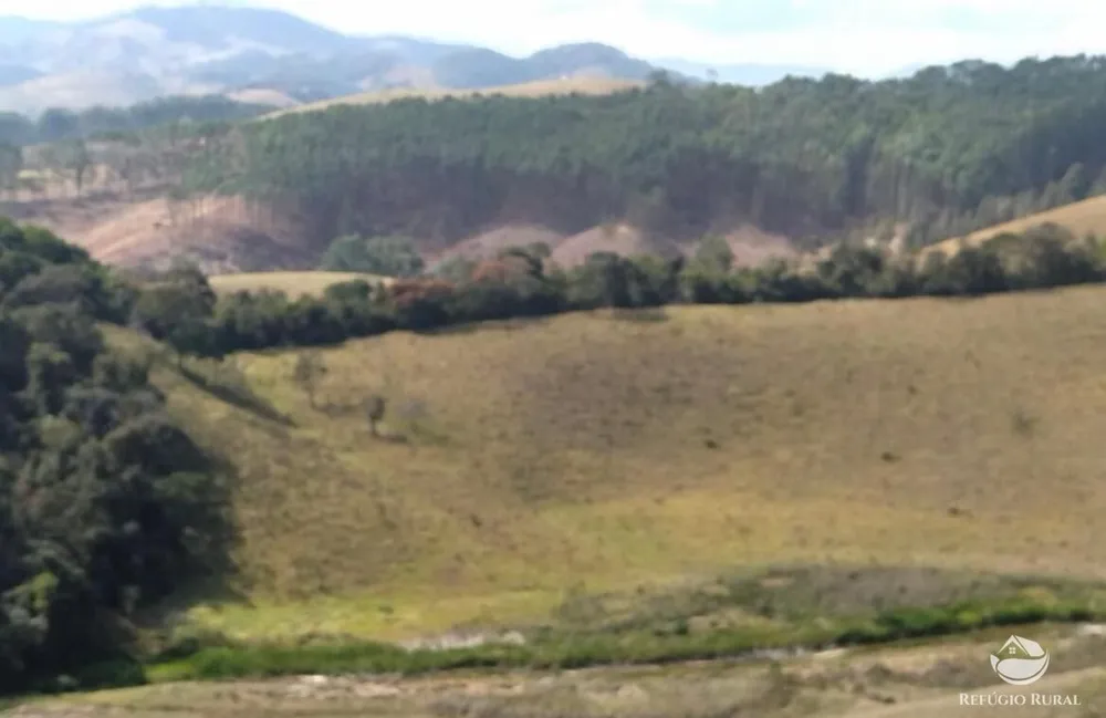 Sítio, 22 hectares - Foto 19