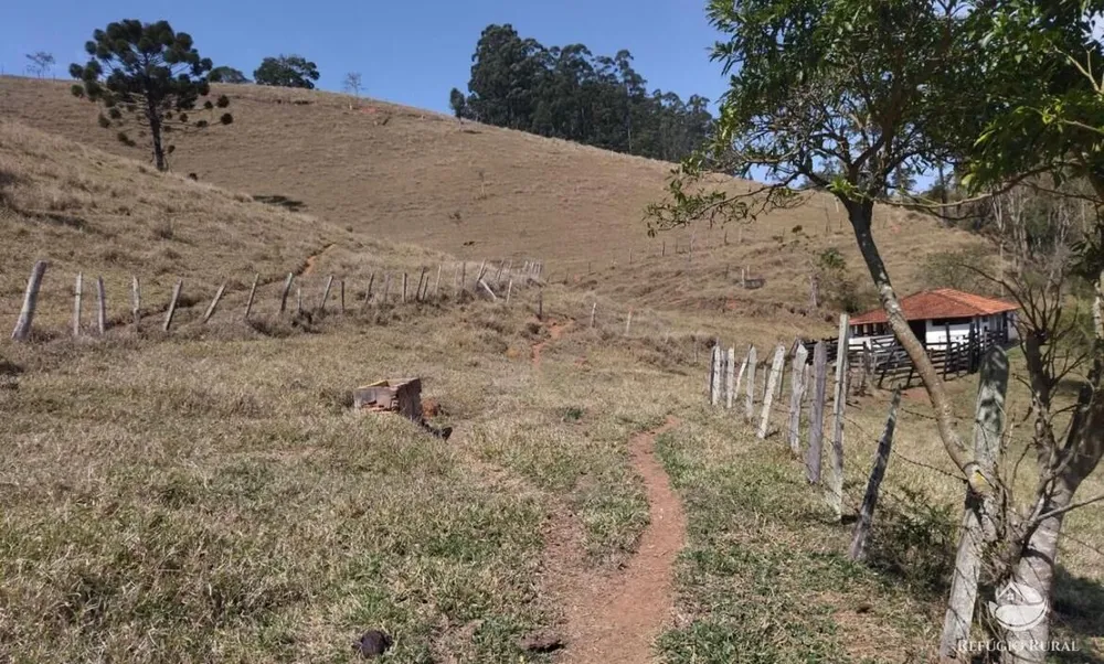 Sítio, 22 hectares - Foto 13