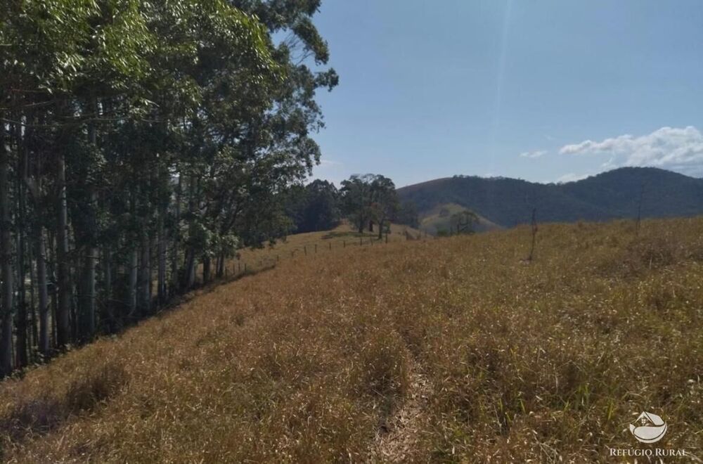 Sítio, 22 hectares - Foto 6