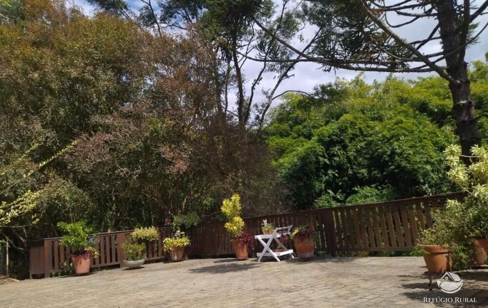 Sítio, 22 hectares - Foto 8