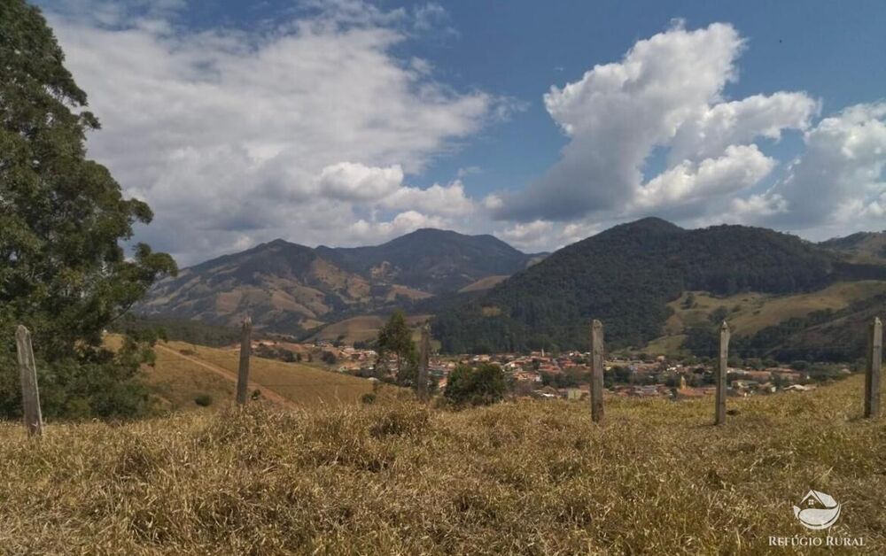 Sítio, 22 hectares - Foto 7