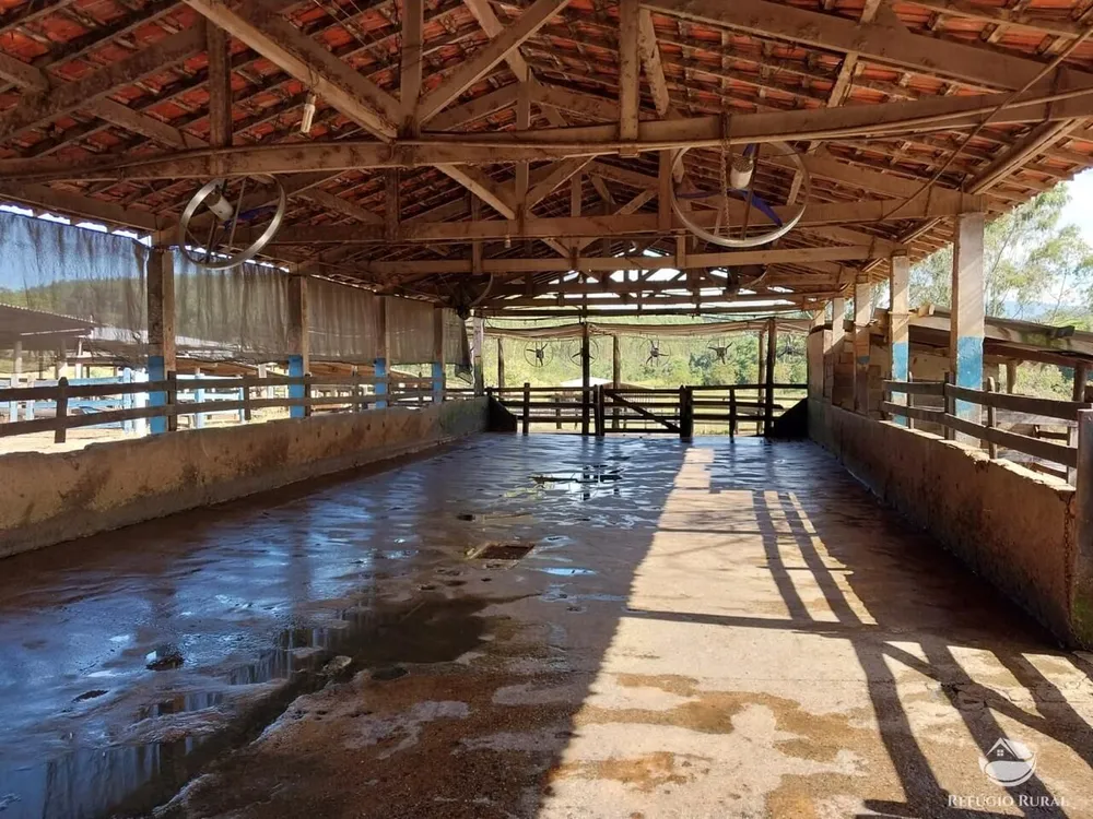 Fazenda, 259 hectares - Foto 18