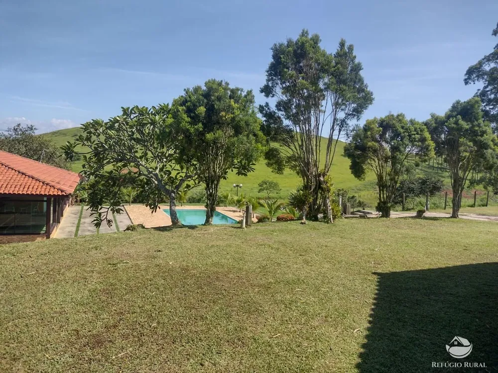 Fazenda, 259 hectares - Foto 2